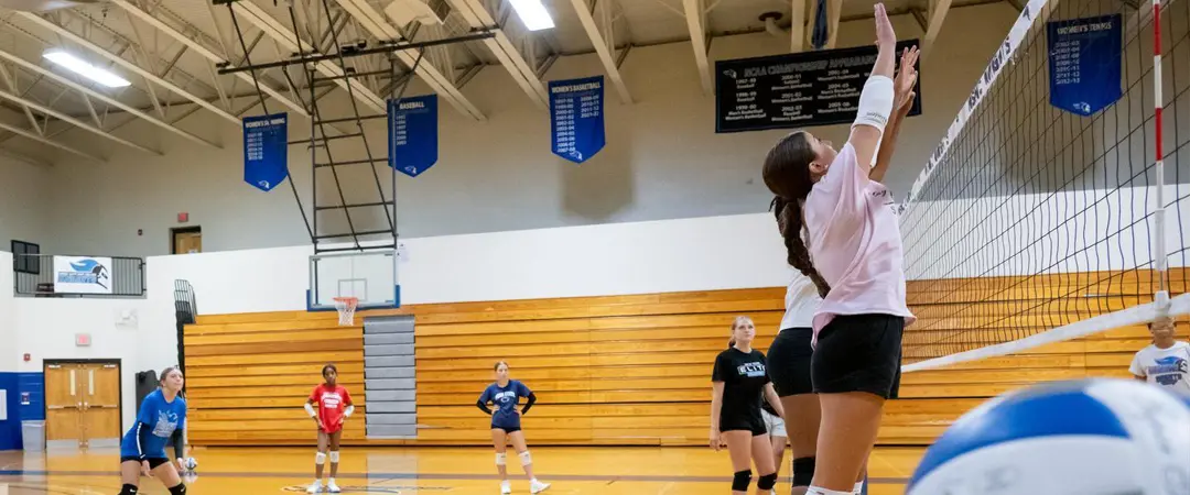 MSMC Volleyball